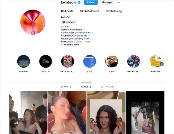 Instagram profile of Bella Hadid