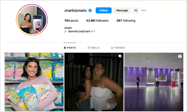 Instagram profile of Charli D Amelio