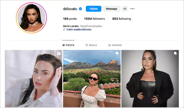 Instagram profile of Demi Lovato