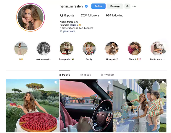 Instagram profile of Negin Mirsalehi