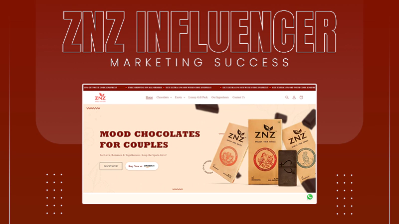 znz-influencer-marketing-success