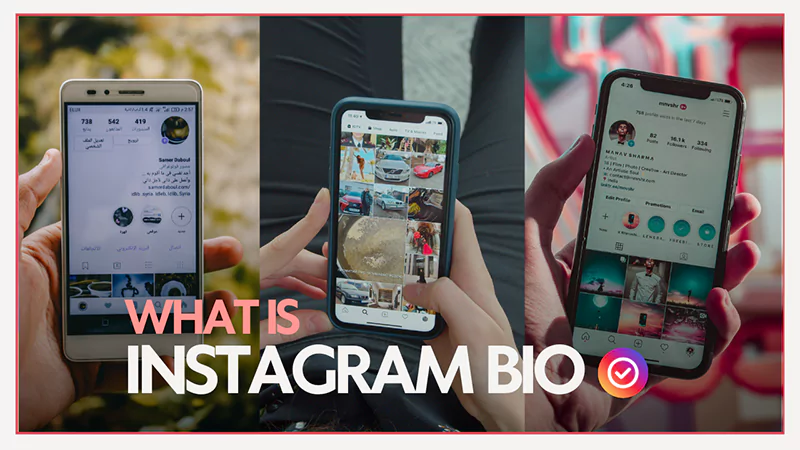 Instagram bio idea