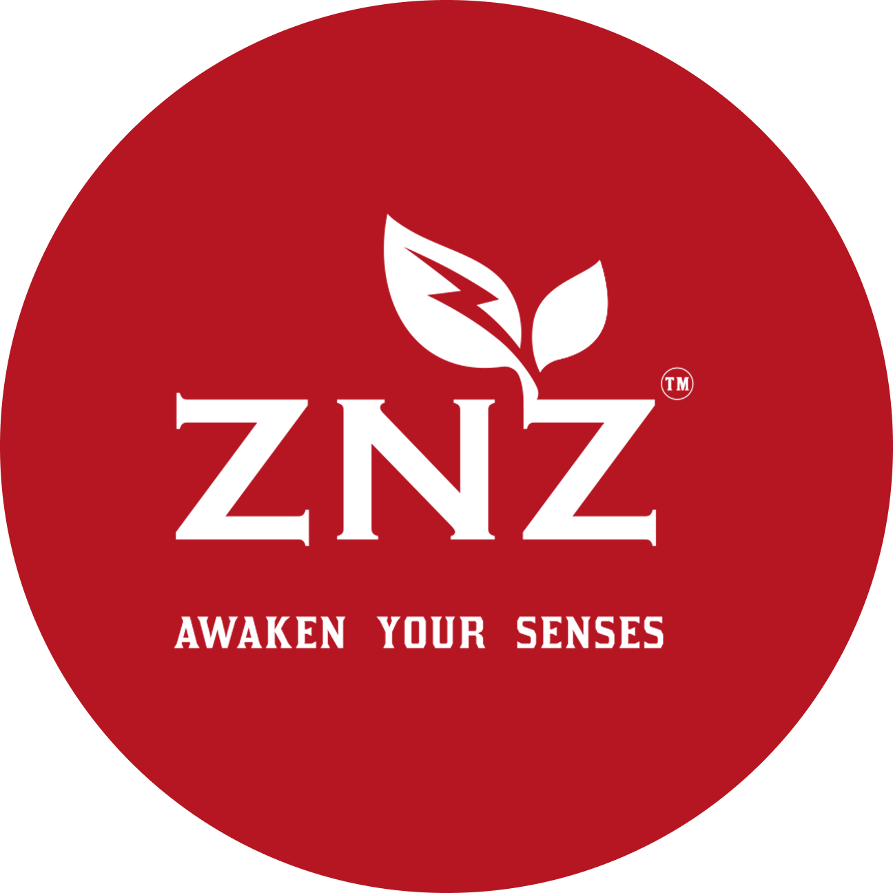 znz logo