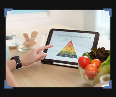 Campaigns and Guidelines